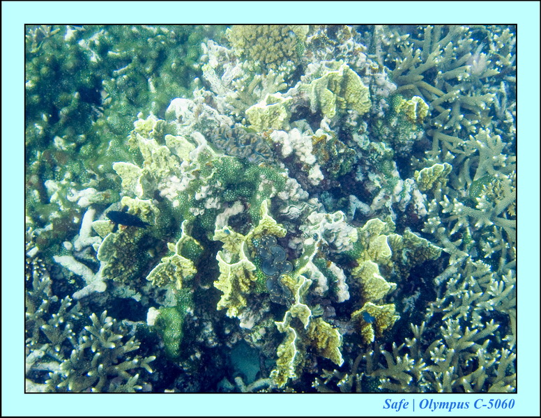 2008 - 07 - Redang - 023